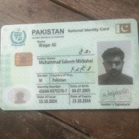 Waqar A.