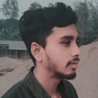 Anisur R.