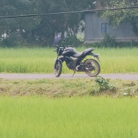 Md Lalon . S.