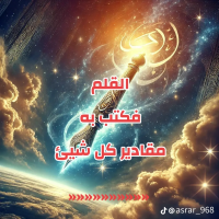 Mohammed D.