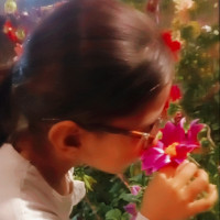 Shahida p. M.