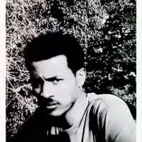 Dawit Kum. S.