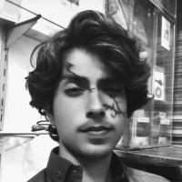 Mehtab R.