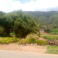 Abdirahma. K.