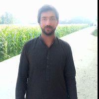 Shah S.