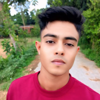 Md Abdull. N.