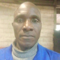 Zulu M.