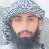 Muhamnad B.