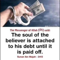 Tawheed A. M.
