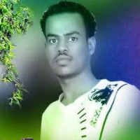 Mohammedn. A.