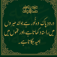 Qasim M.